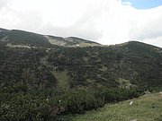 P9200059.JPG