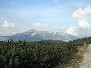 P9200078.JPG