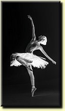 _IMG4140-2_mod_inv.jpg