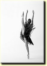 _IMG4149-2_mod_SW.jpg