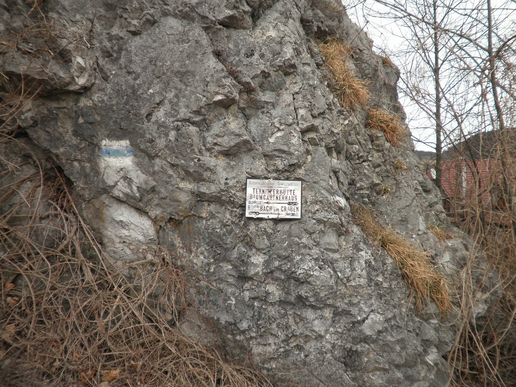 P2280001.JPG