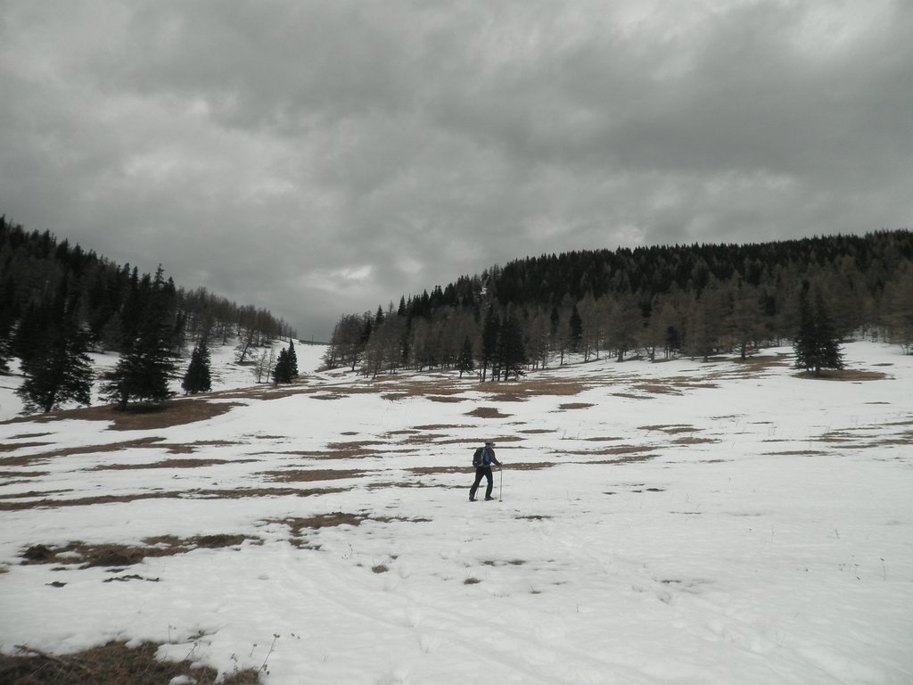 P2280010.JPG