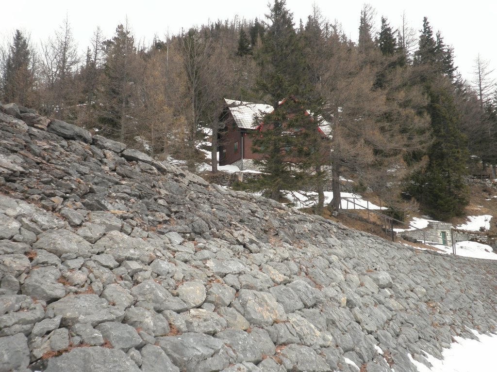 P2280013.JPG