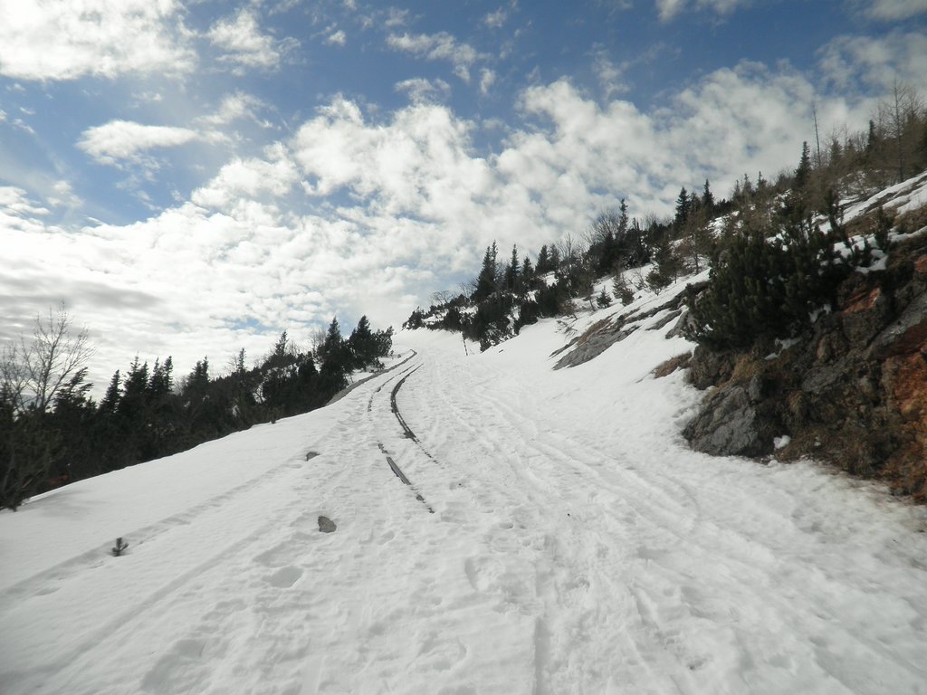 P2280019.JPG