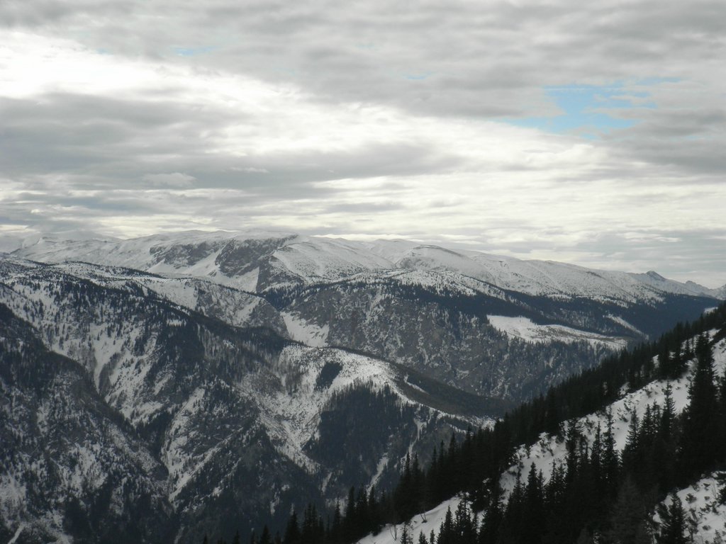 P2280026.JPG