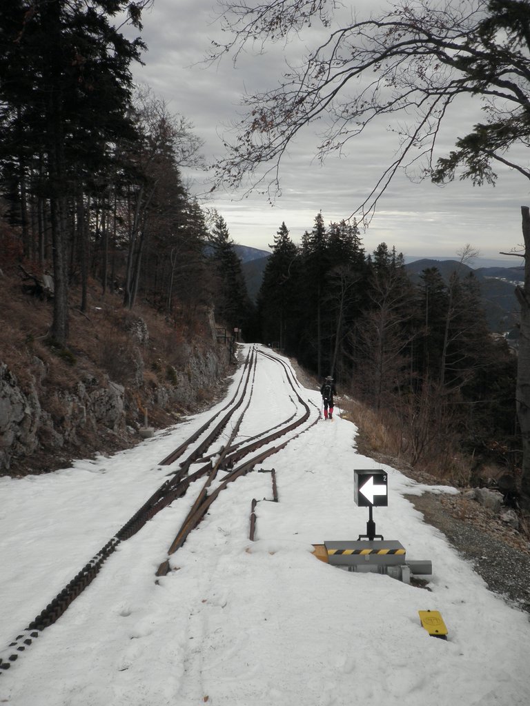 P2280034.JPG