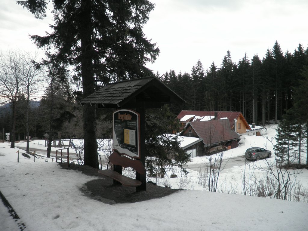 P2280035.JPG