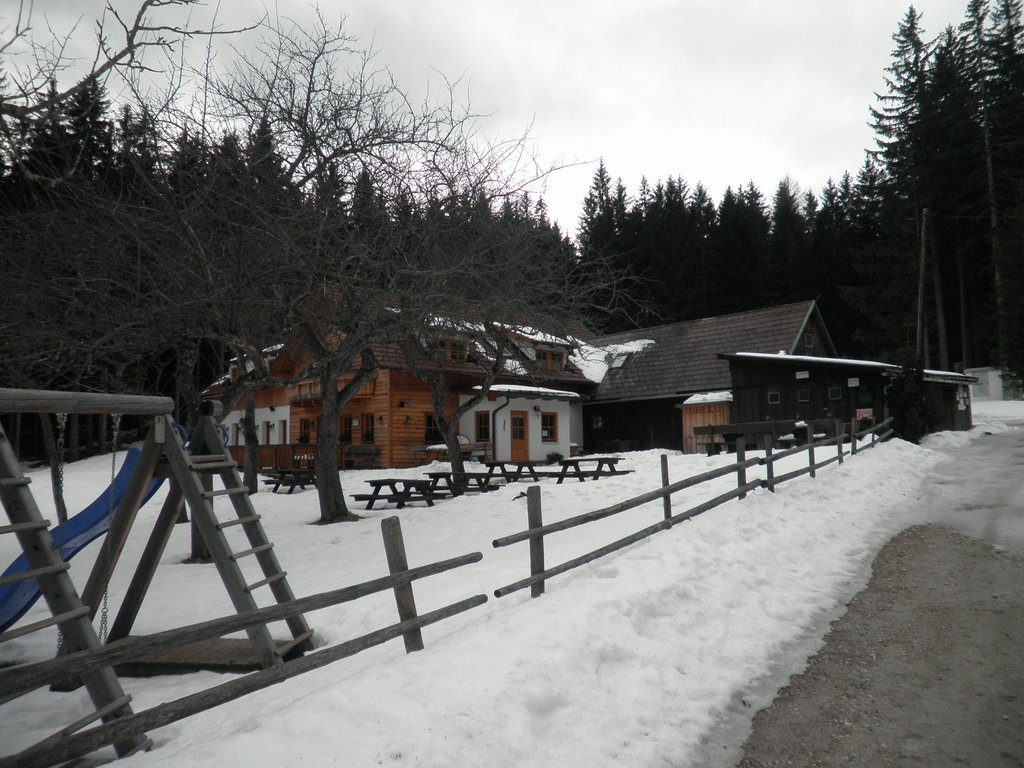 P2280036.JPG