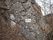 P2280001.JPG
