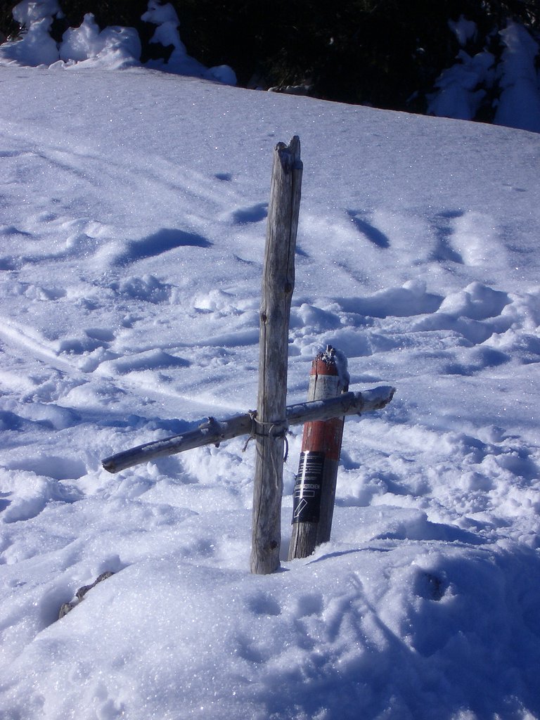 CIMG3616.JPG