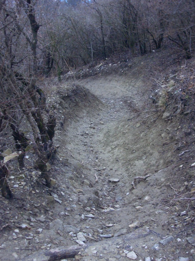 CIMG3906.JPG