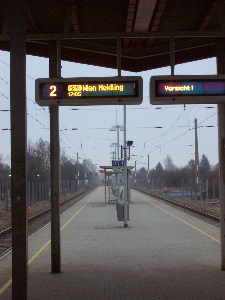 CIMG3910.JPG