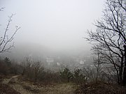 CIMG3905.JPG