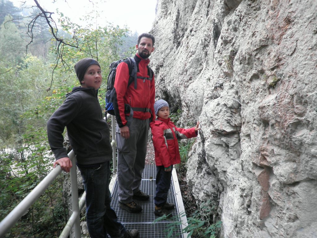 PA100003.JPG