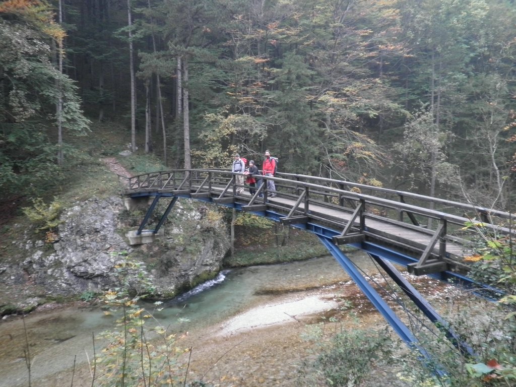 PA100006.JPG