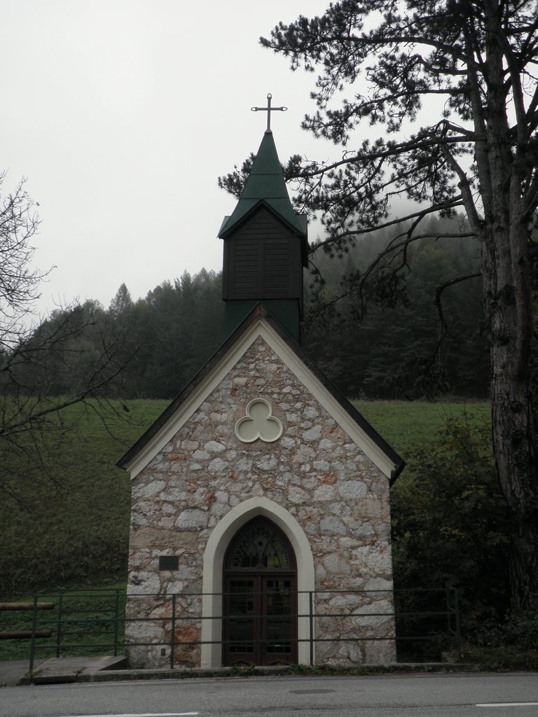 PA100008.JPG