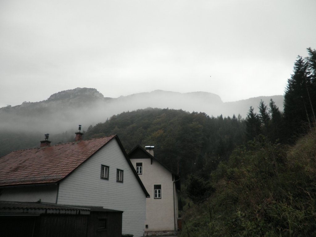PA100009.JPG