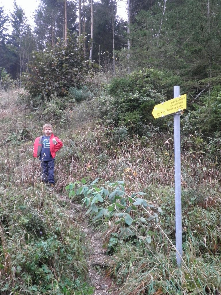 PA100010.JPG