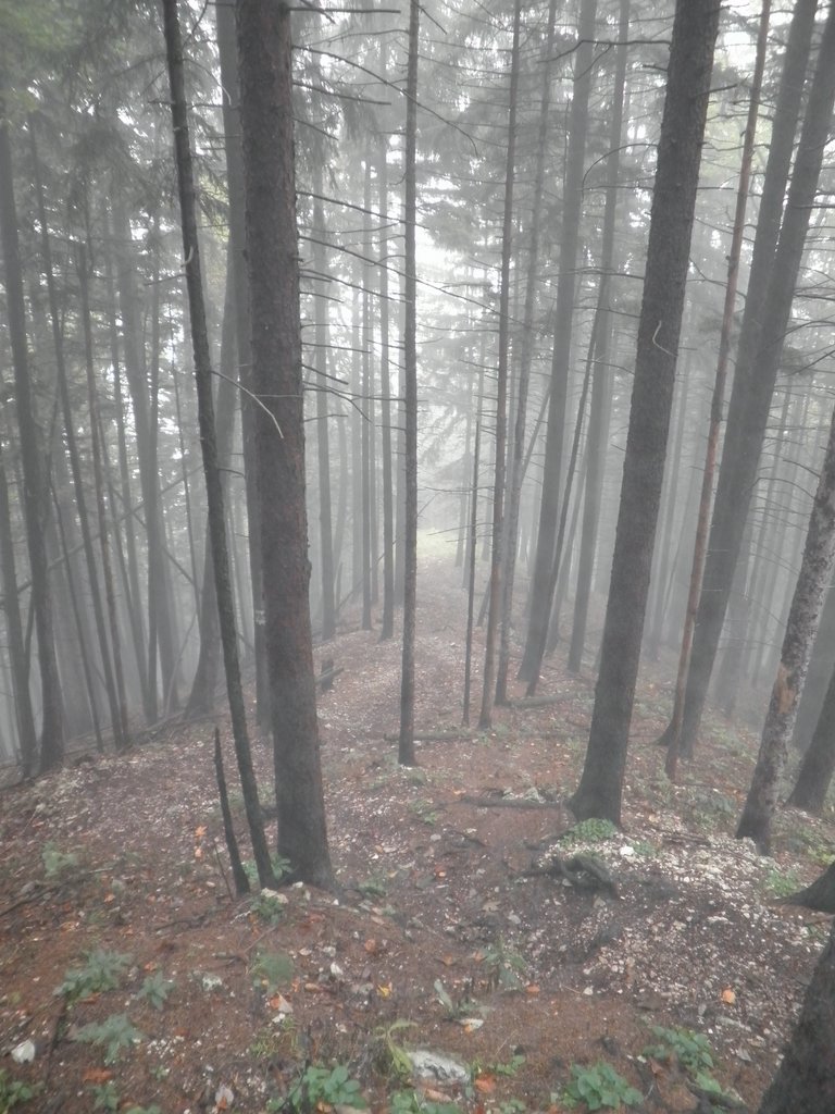 PA100015.JPG