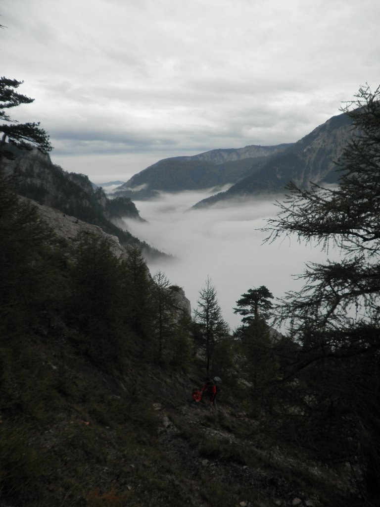 PA100034.JPG