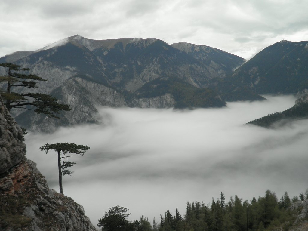 PA100038.JPG