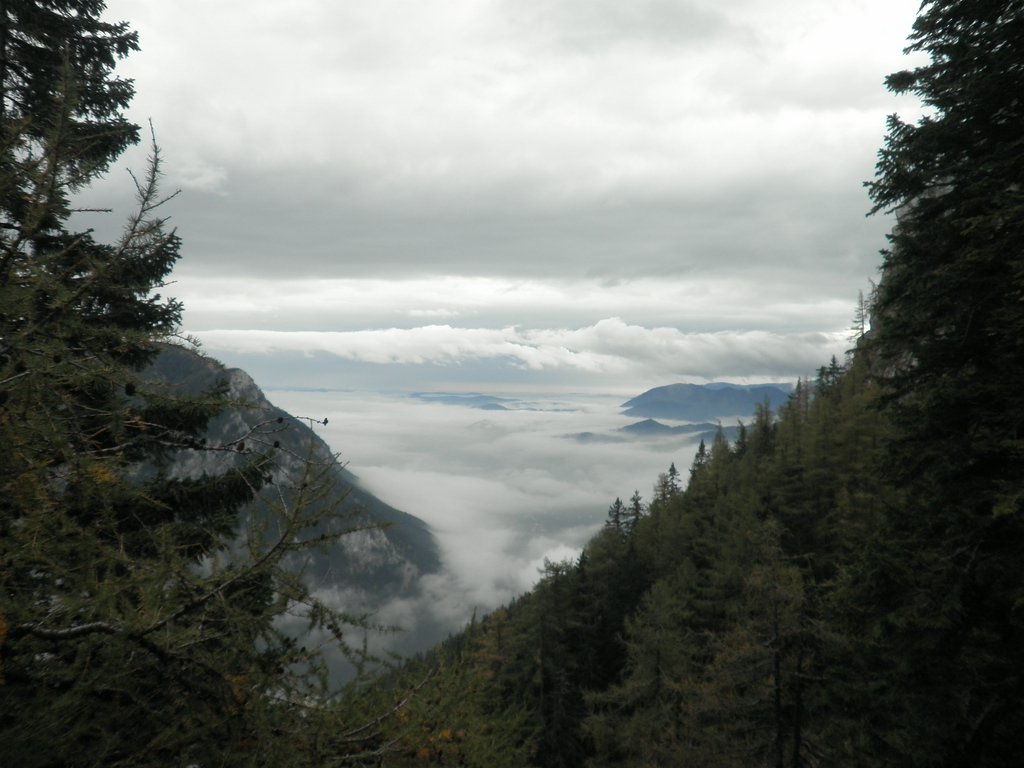 PA100043.JPG