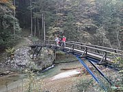 PA100006.JPG