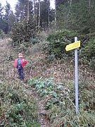 PA100010.JPG