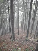 PA100015.JPG