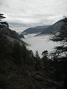 PA100034.JPG