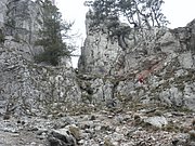 PA100037.JPG