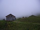 CIMG1975.JPG