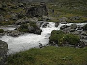 P8190399.JPG