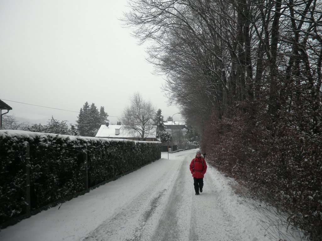 P1090038.JPG