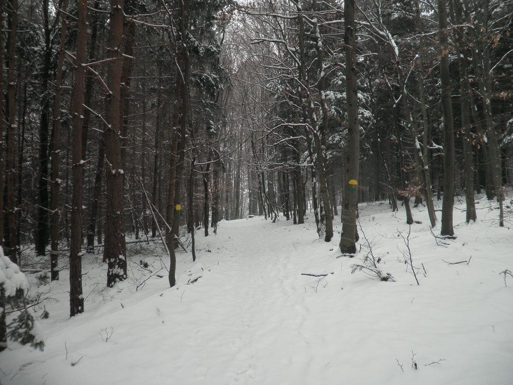 P1090039.JPG