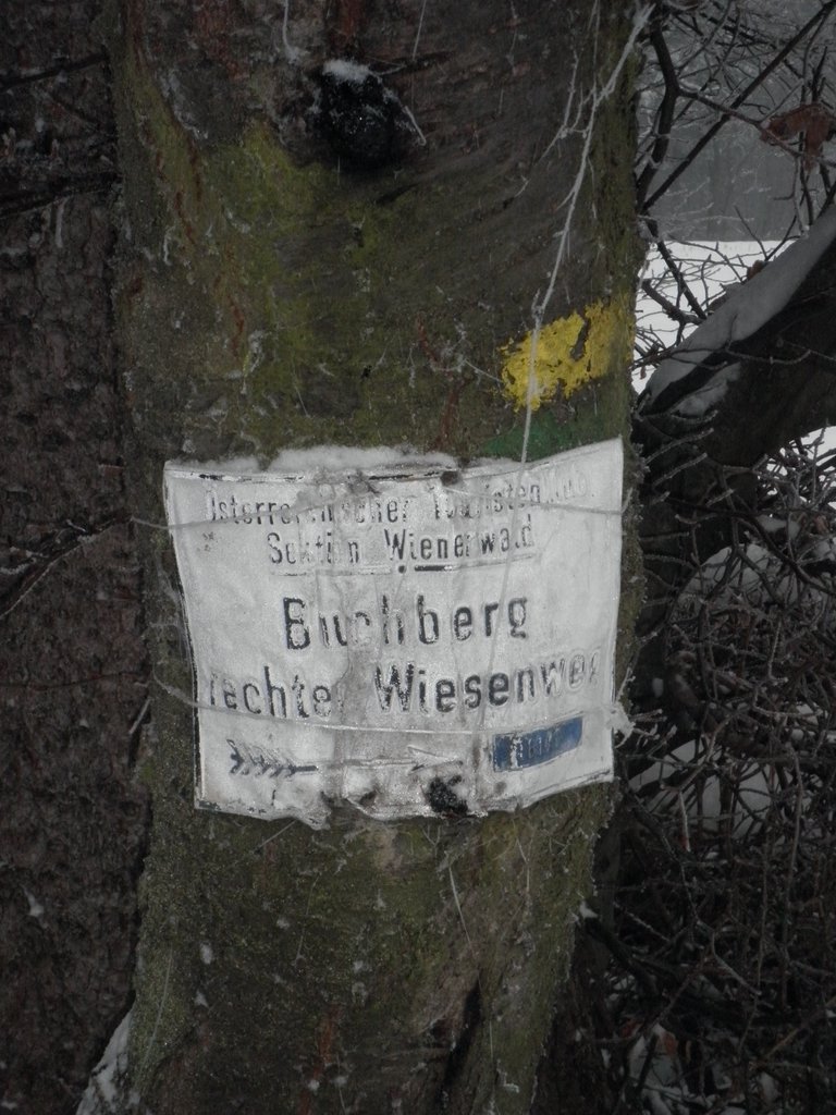 P1090041.JPG