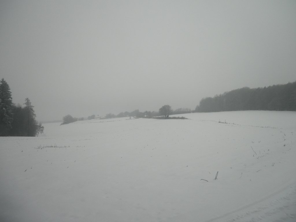P1090042.JPG