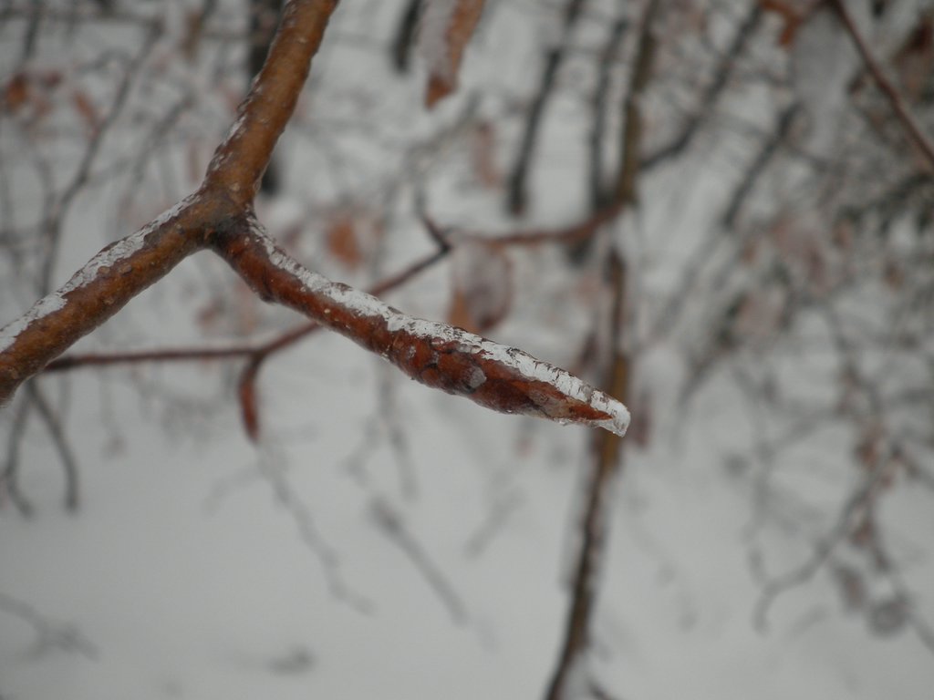 P1090047.JPG