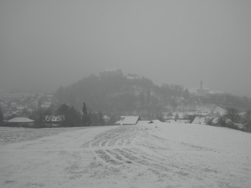 P1090068.JPG