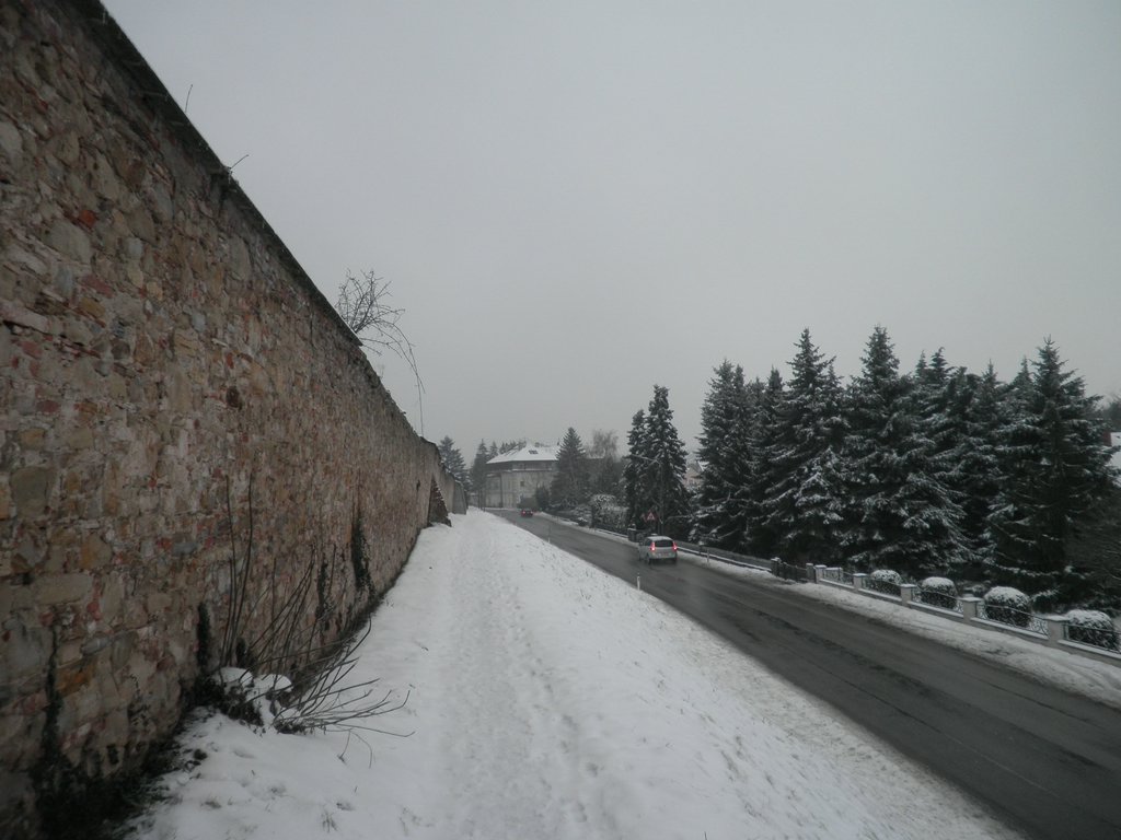 P1090069.JPG