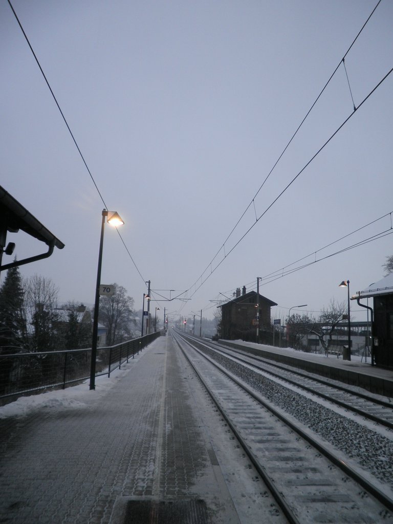 P1090070.JPG