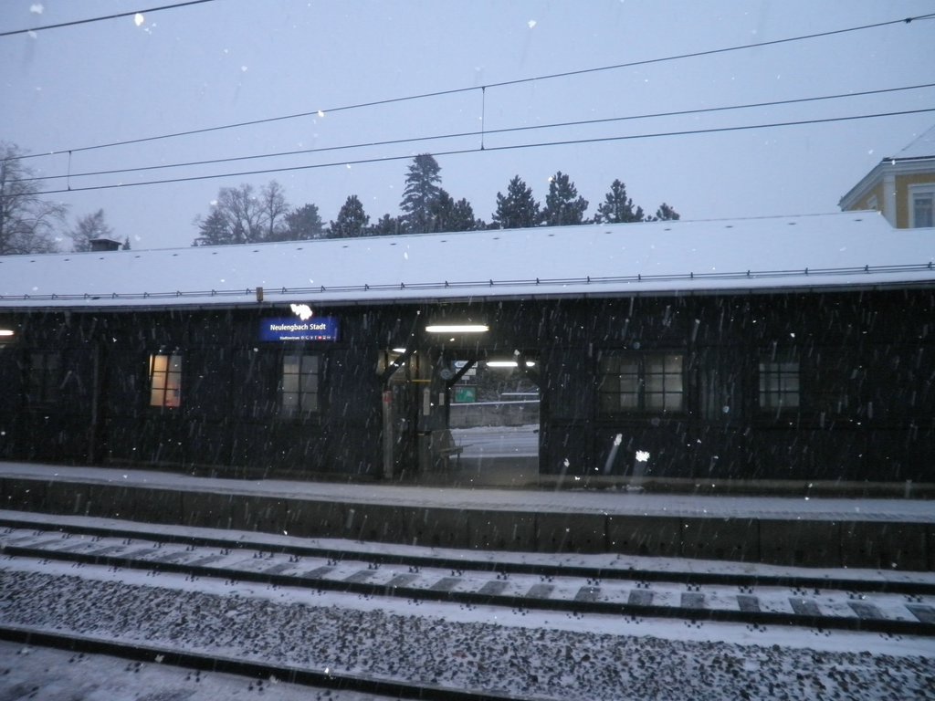 P1090071.JPG