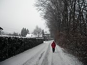 P1090038.JPG