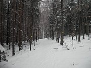 P1090039.JPG
