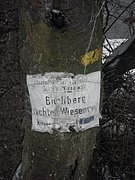 P1090041.JPG