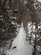 P1090044.JPG