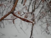 P1090047.JPG