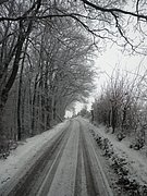 P1090055.JPG