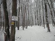 P1090066.JPG