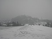 P1090068.JPG
